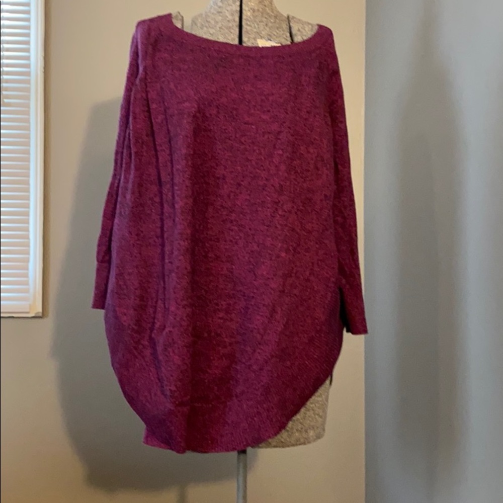 Express sweater size large